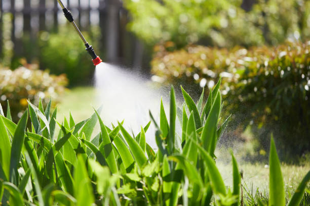 24/7 Emergency Bed Bug Control experts in Moss Beach, CA