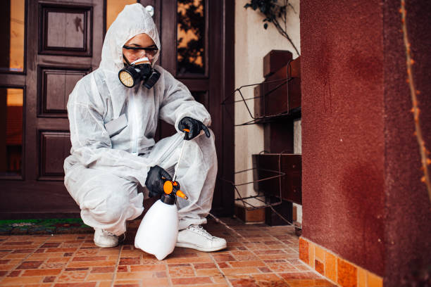Reliable Bed Bug Control contractor in Moss Beach, CA by Nex Pest Control